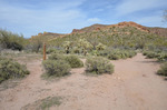 photo thumbnail #2