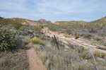 photo thumbnail #4