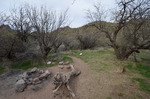 photo thumbnail #14