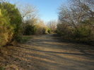 photo thumbnail #5