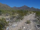 photo thumbnail #2