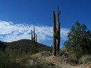 photo thumbnail #9