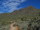 photo thumbnail #14