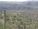 photo thumbnail #8