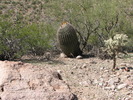 photo thumbnail #9