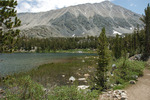 photo thumbnail #9