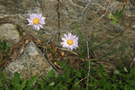 photo thumbnail #15