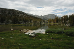 photo thumbnail #3