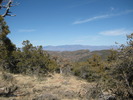 photo thumbnail #5