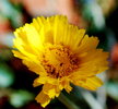 photo thumbnail #10