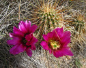photo thumbnail #2