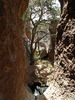 photo thumbnail #14
