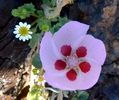 photo thumbnail #15