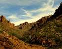 photo thumbnail #4