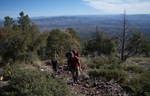 photo thumbnail #1