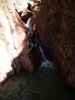 photo thumbnail #12