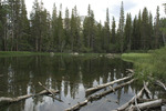 photo thumbnail #8