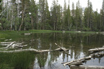 photo thumbnail #9