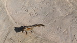 photo thumbnail #11