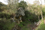 photo thumbnail #10