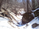 photo thumbnail #1