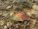 photo thumbnail #1