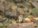 photo thumbnail #14
