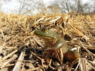 photo thumbnail #3