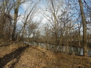 photo thumbnail #11