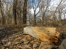 photo thumbnail #12