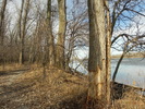 photo thumbnail #15