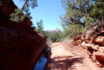 photo thumbnail #7