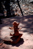 photo thumbnail #13