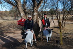 photo thumbnail #2