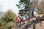 photo thumbnail #9
