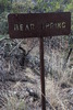 photo thumbnail #12