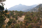 photo thumbnail #13