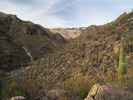 photo thumbnail #5