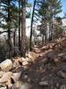 photo thumbnail #7