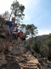 photo thumbnail #8