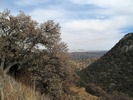 photo thumbnail #12