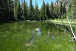 photo thumbnail #2
