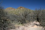 photo thumbnail #11
