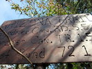 photo thumbnail #8