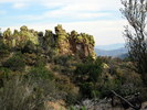 photo thumbnail #12