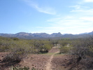 photo thumbnail #7