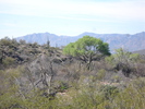 photo thumbnail #8