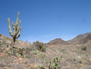 photo thumbnail #10