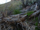 photo thumbnail #1