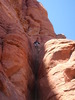 photo thumbnail #1